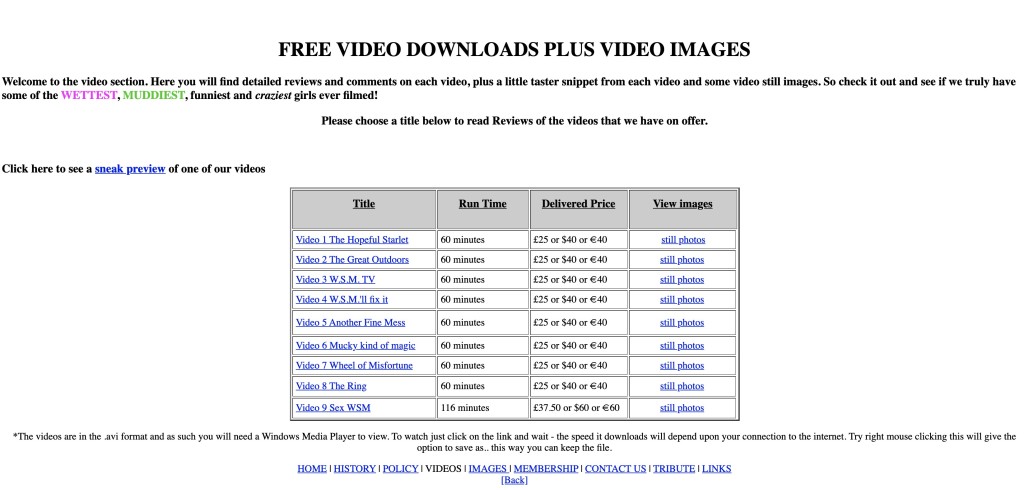 2001-11-28_Videos Appendix E